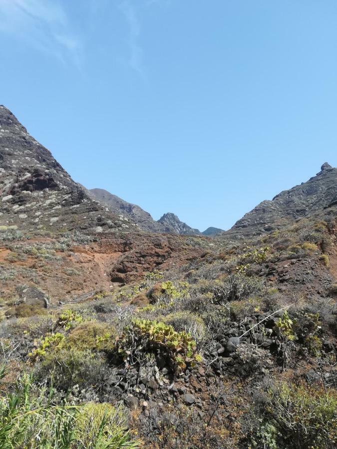 Tenerife Santa Cruz de Tenerife Exterior foto